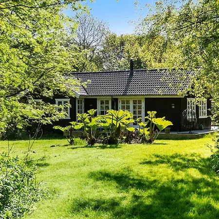 Front In With Wifi 보겐세